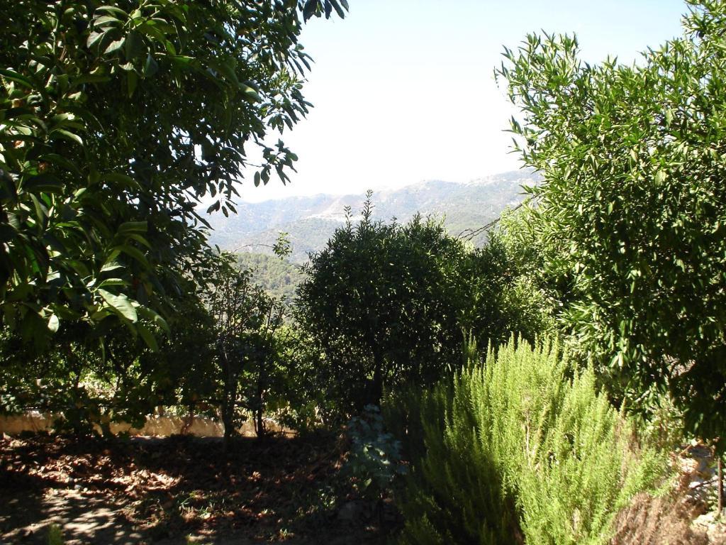 Posada Mirador De Jubrique Ngoại thất bức ảnh