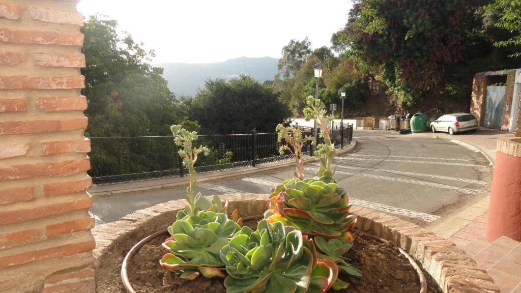 Posada Mirador De Jubrique Ngoại thất bức ảnh